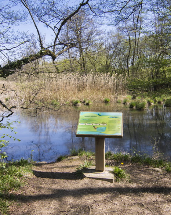 Signalisation à l'étang de Crosagny