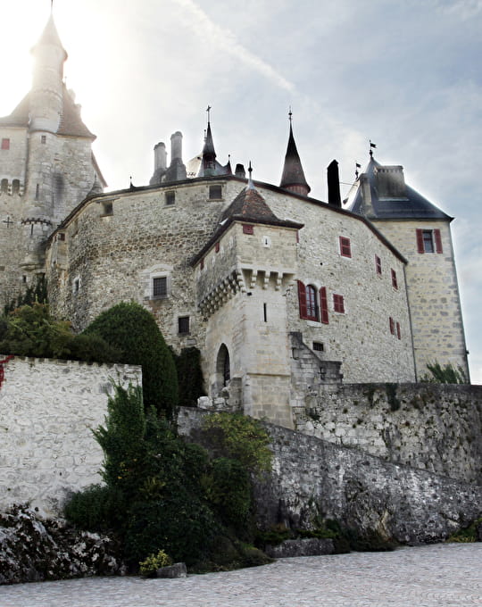 Château de Menthon-St-Bernard