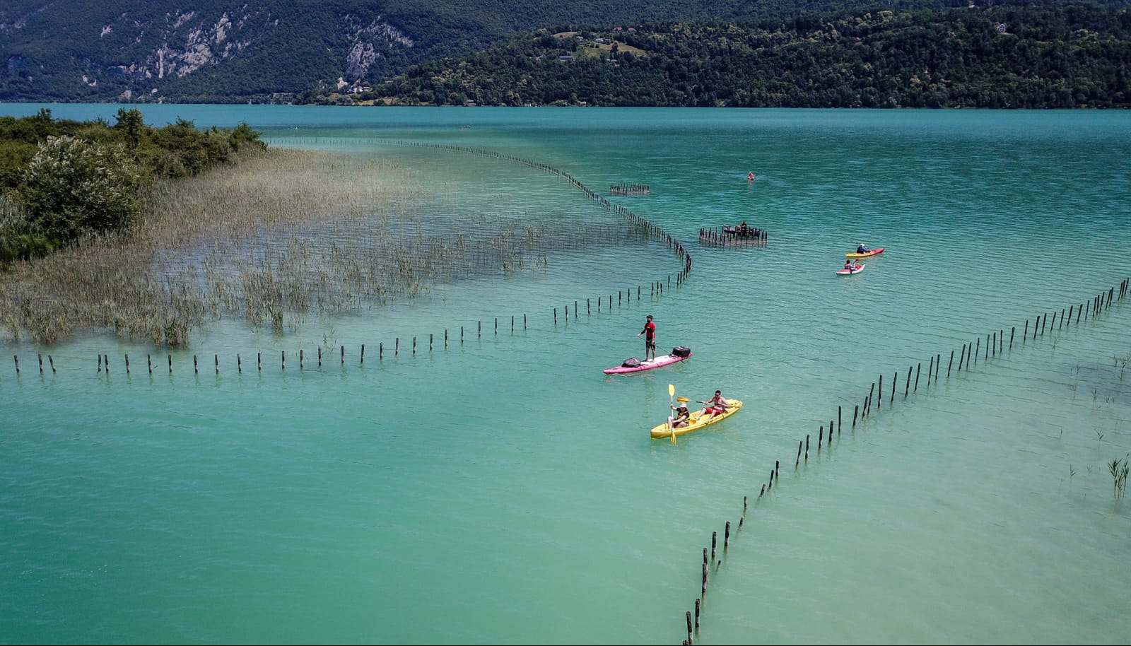 Stand up paddle et canoë sur le lac d'Aiguebelette