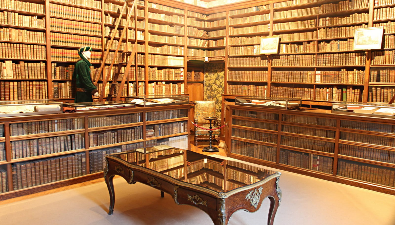 bibliothèque du château de Menthon-St-Bernard