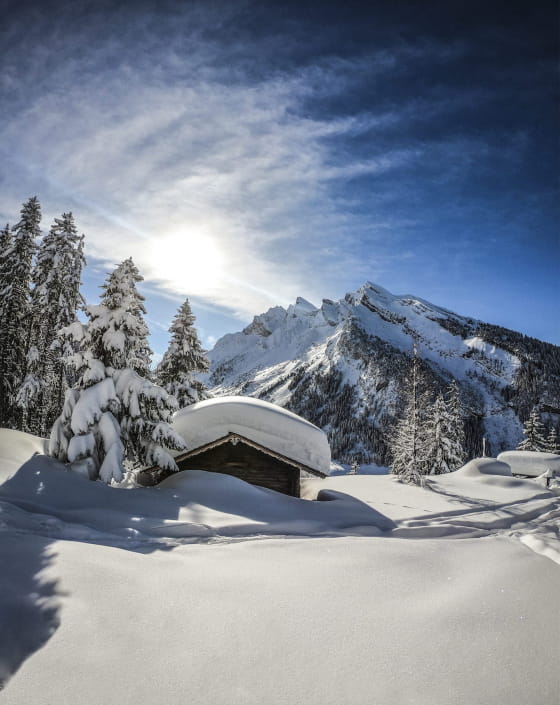 Conduite en montagne: quelques conseils pour les sports d'hiver