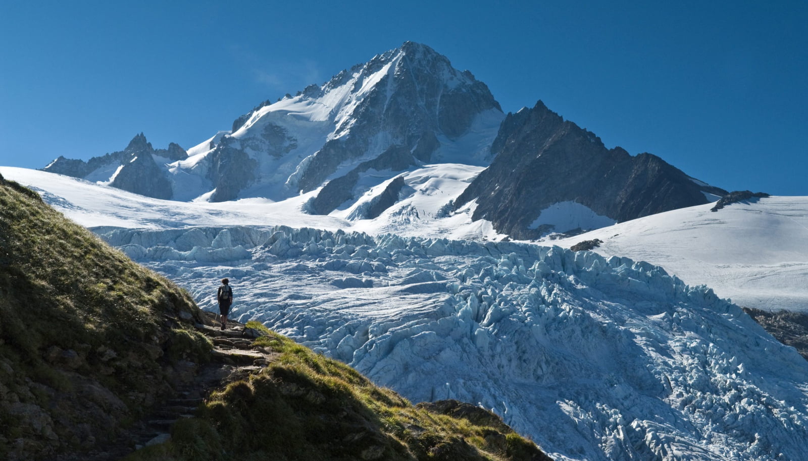 Randonnée vers le refuge de l'Albert 1er, vue sur le glacier du tour et sur le Mont-Blanc