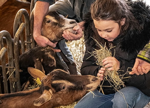 Boucle des Savoir Faire : la chèvrerie de Vesonne