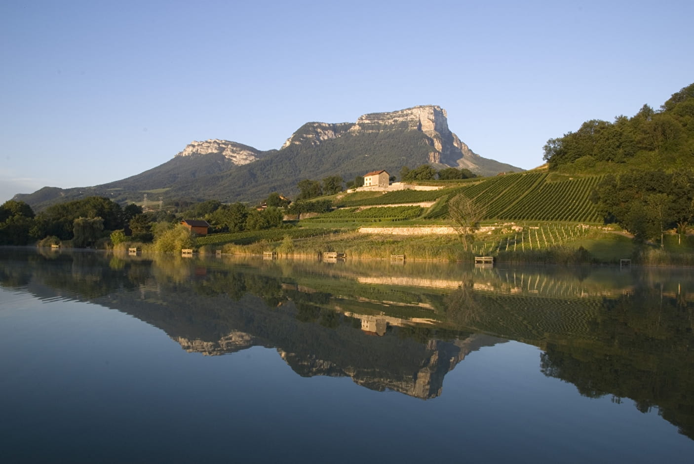 Philippe & Sylvain Ravier - Achat de vins de Savoie - Mondeuse