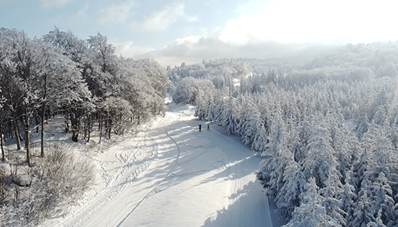 Crosscountry ski resort of Sur Lyand Grand Colombier