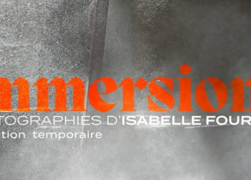 Exposition temporaire : Immersions Du 1/12/2023 au 30/6/2024