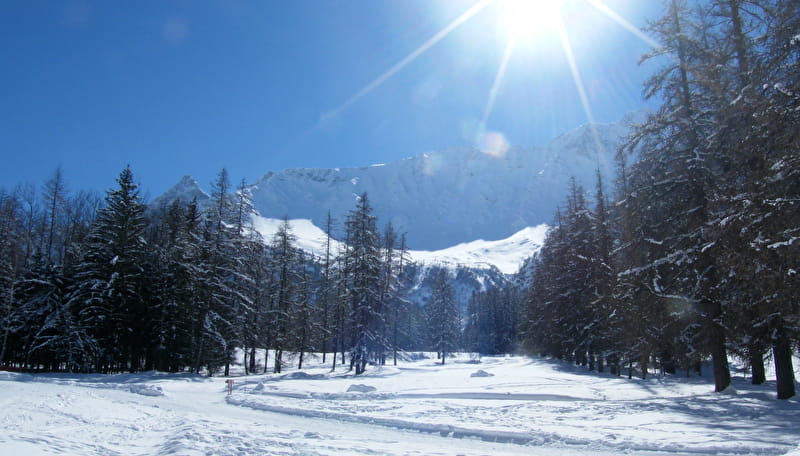 piste de ski de fond et piétons
