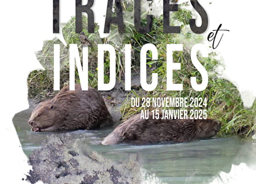 Exposition "Traces et indices : sur les traces de la faune sauvage" Du 28/11/2024 au 15/1/2025